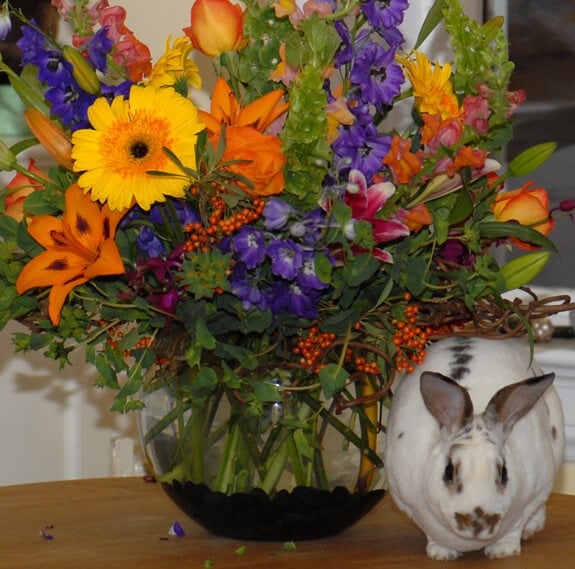 bunny with flowers