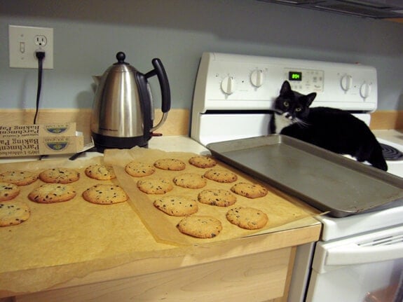 Elana's Gluten Free Vegan Chocolate Chip Cookies