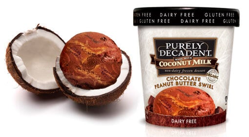 purely decadent coconut milk chocolate peanut butter ice cream