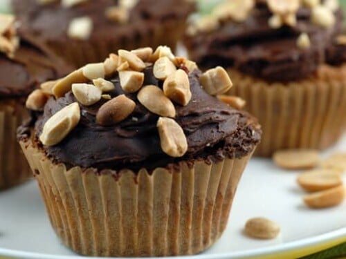 peanut butter chocolate chip gluten free flourless cupcakes