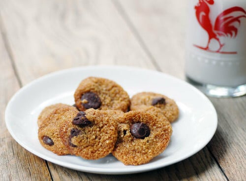 chocolate chip cookies with yacon