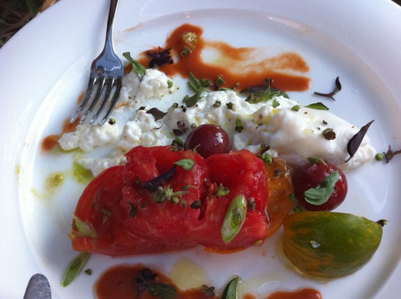 mozzarella tomato appetizer bardessano