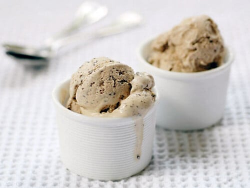 coconut chocolate chip ice cream