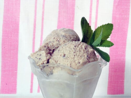 Dairy-Free Mint Chip Ice Cream