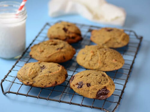 paleo chocolate chip scones