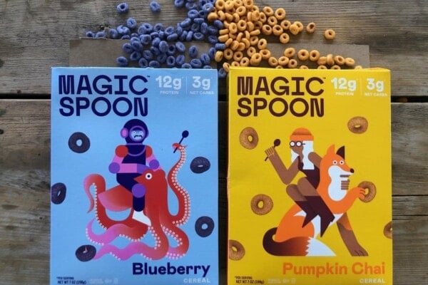 Magic Spoon Blueberry & Pumpkin Chai