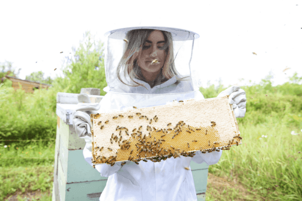 Beekeeper's Naturals Immune Support