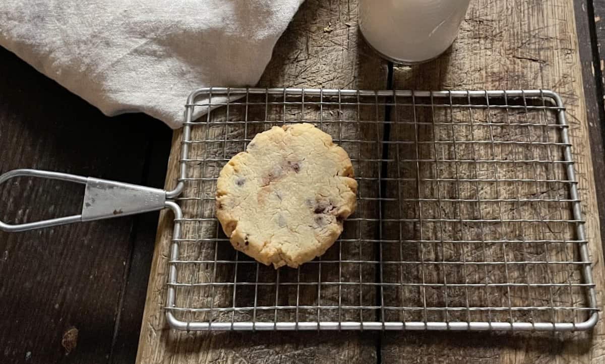 Chocolate Chip Cookie for One